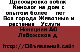 Дрессировка собак (Кинолог на дом с опытом более 10 лет) - Все города Животные и растения » Услуги   . Ненецкий АО,Лабожское д.